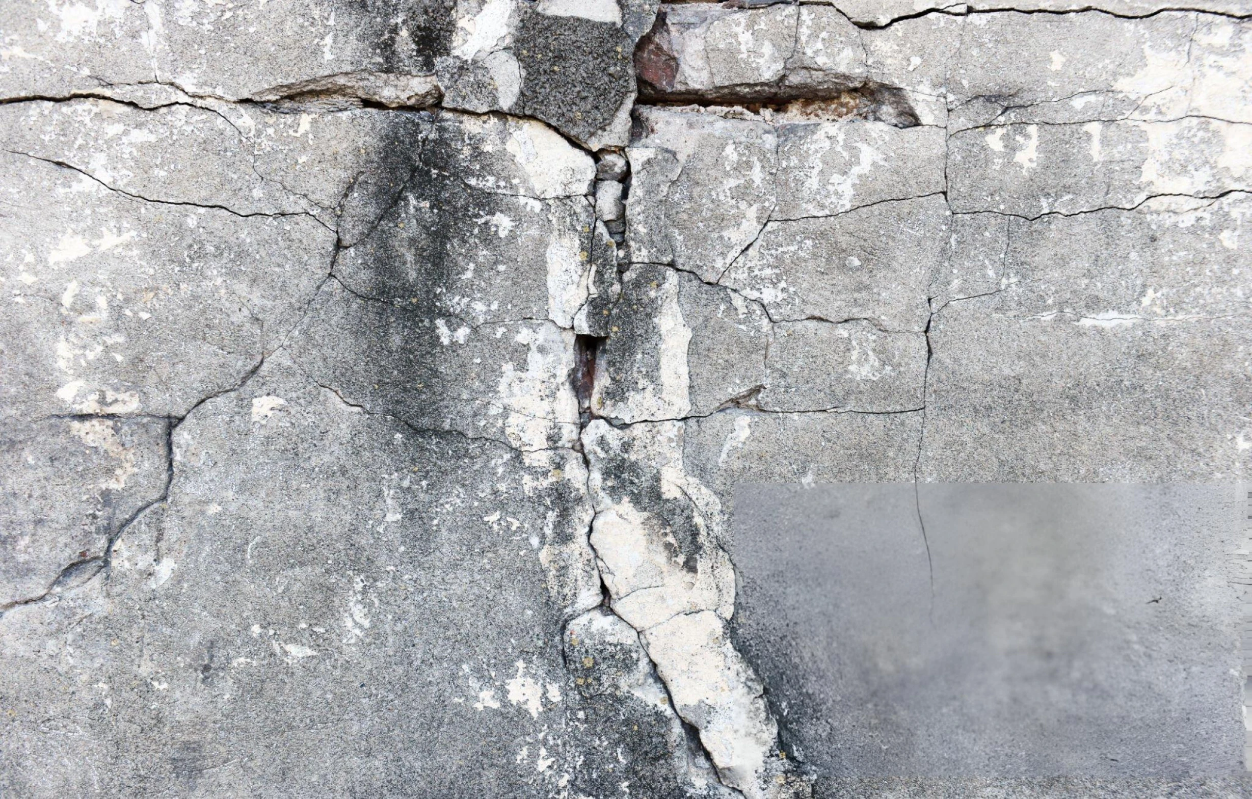 Cracked Wall / Structural Repair in Tarpon Springs FL (6)